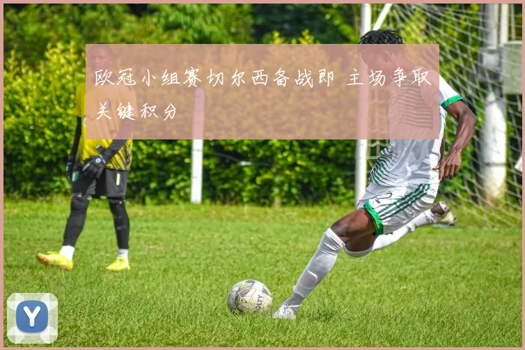欧冠小组赛切尔西备战即 主场争取关键积分