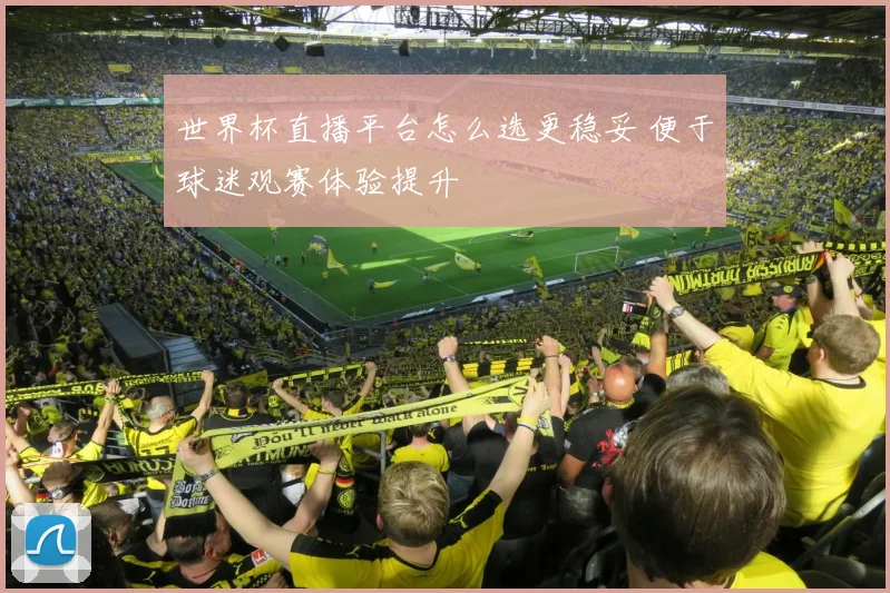 世界杯直播平台怎么选更稳妥 便于球迷观赛体验提升