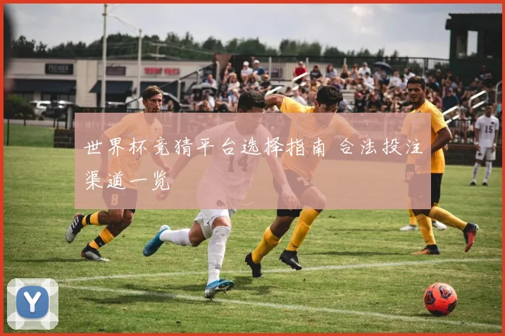 世界杯竞猜平台选择指南 合法投注渠道一览